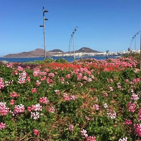 El Atico De Mateo 5a Las Palmas de Gran Canaria