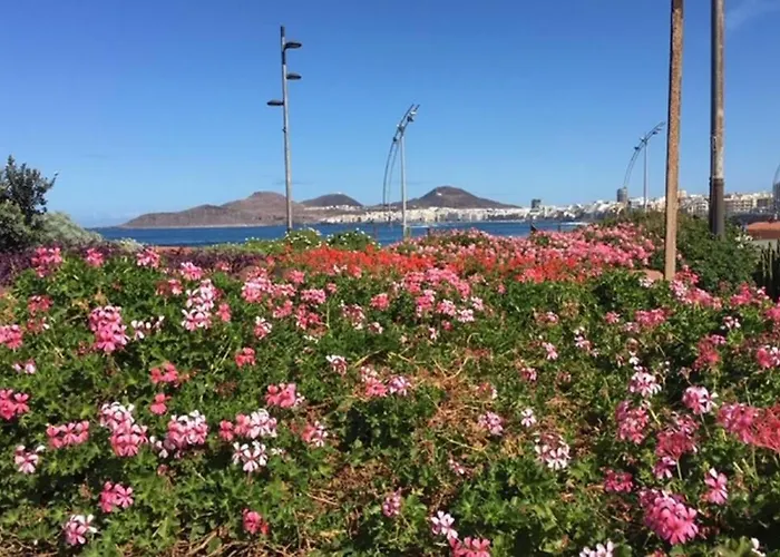 Numancia1-4a Atico5a Las Palmas / Gran Canaria