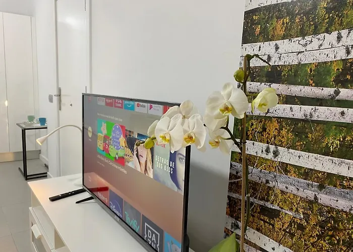 Numancia1-4a Atico5a 公寓